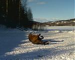 Klikk bildet for strre versjon

Navn:	   Bilde031.jpg
Visninger: 258
Strrelse: 19,2 KB
ID:	   2013
