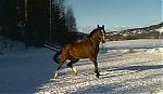 Klikk bildet for strre versjon

Navn:	   Bilde033.jpg
Visninger: 251
Strrelse: 29,5 KB
ID:	   2015