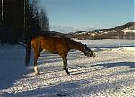 Klikk bildet for strre versjon

Navn:	   Bilde034.jpg
Visninger: 277
Strrelse: 38,9 KB
ID:	   2016