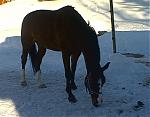 Klikk bildet for strre versjon

Navn:	   Bilde037.jpg
Visninger: 268
Strrelse: 28,9 KB
ID:	   2017