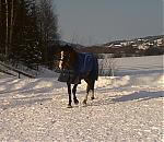 Klikk bildet for strre versjon

Navn:	   Bilde044.jpg
Visninger: 271
Strrelse: 79,6 KB
ID:	   2045