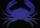 Krabben sin avatar