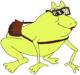 yellowfrog sin avatar